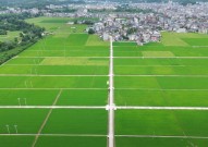农村贷款10万三年免利息农行福建省分行：金融“活水”润沃野 乡村振兴结硕果