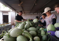 718sx吃瓜娱乐去哪里了,探寻消失的瓜圈传奇