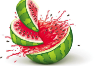 吃瓜宝宝娱乐,揭秘娱乐圈幕后故事，带你领略明星真实生活