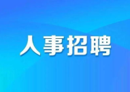 人事招聘专员说白了是什么,企业人才选拔的幕后推手