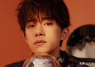 娱乐吃瓜酱杨洋,娱乐吃瓜酱中的璀璨明星