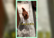 熟悉娱乐吃瓜群众,揭秘明星幕后故事，吃瓜群众独家解读