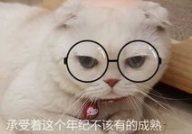 娱乐吃瓜君说刘二豆,从萌宠网红到抖音现象，揭秘“会说话的刘二豆”的爆红之路