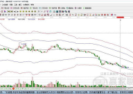 300189股票,股价小幅上涨，涨跌幅0.26%”