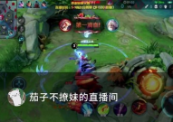 王者女陪娱乐陪,娱乐与陪伴的完美融合