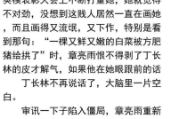 从乡镇到中央的长篇官场小说,乡镇到中央的官场传奇