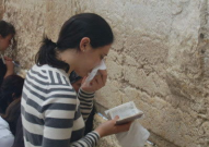 专业吃瓜娱乐圈