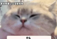 娱乐吃瓜主页,吃瓜群众必看的幕后故事