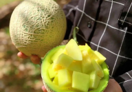 娱乐吃瓜壁纸图,吃瓜群众眼中的明星幕后故事