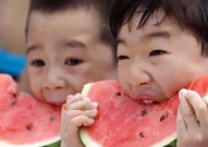 网红吃瓜小羊没烦恼,揭秘娱乐圈幕后故事