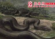 梦见杀蛇,杀蛇的象征与预兆